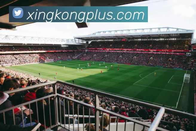 星空体育APP 体育赛事宣传图