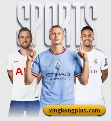 星空体育五大内容板块,覆盖赛事直播与实时比分 - xingkong.com